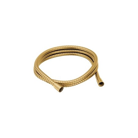 Moen Handheld Shower Hose Brushed Gold 155748BG